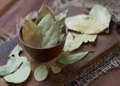 برگ بو به کنترل قندخون یاری می نماید