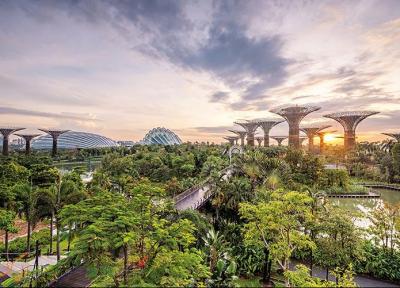 بهترین مسیرهای طبیعت گردی در سنگاپور