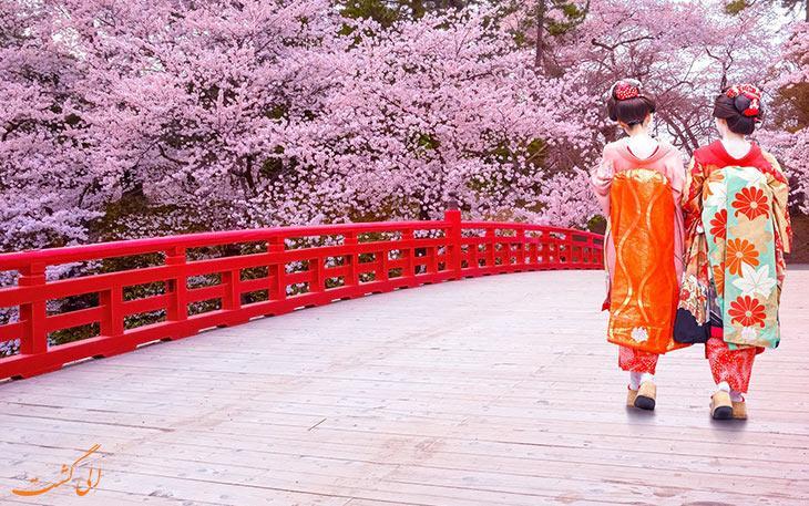 همه چیز در خصوص جشن شکوفه های گیلاس در ژاپن