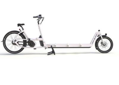 دوچرخه باری، وسیله ای امروزی برای حمل بار و اعضای کوچک خانواده