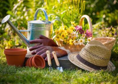9 ترفند مهم و اقتصادی در باغبانی